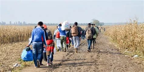 15 Largest Humanitarian Organizations (.